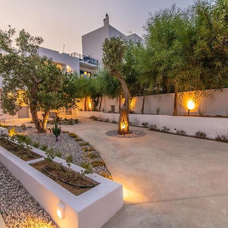 Acanthus Houses Tinos Exterior photo